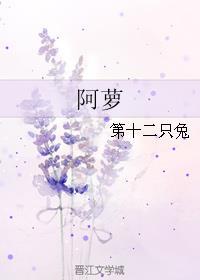 阿萝魏玘全文免费