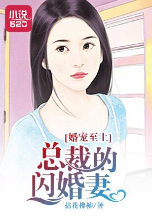 闪婚总裁宠妻有理