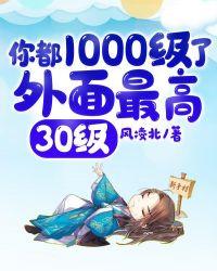 你都1000级了外面最高30级境界分划