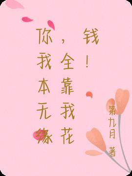 你我本无缘全靠我花钱txt