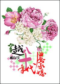 穿越成八十年代农家媳