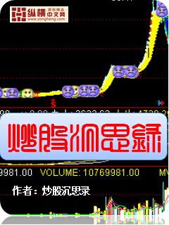 股票投资沉思录免费